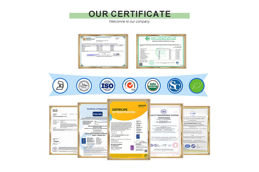 OUR CERTIFICATE