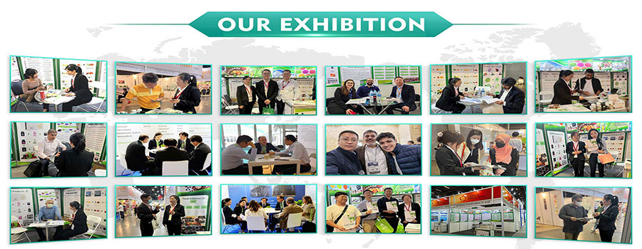 OUR EXHIBITION