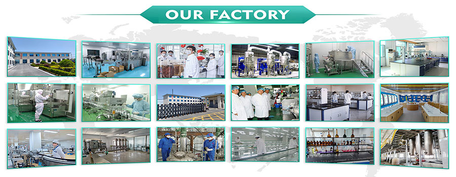 OUR FACTORY